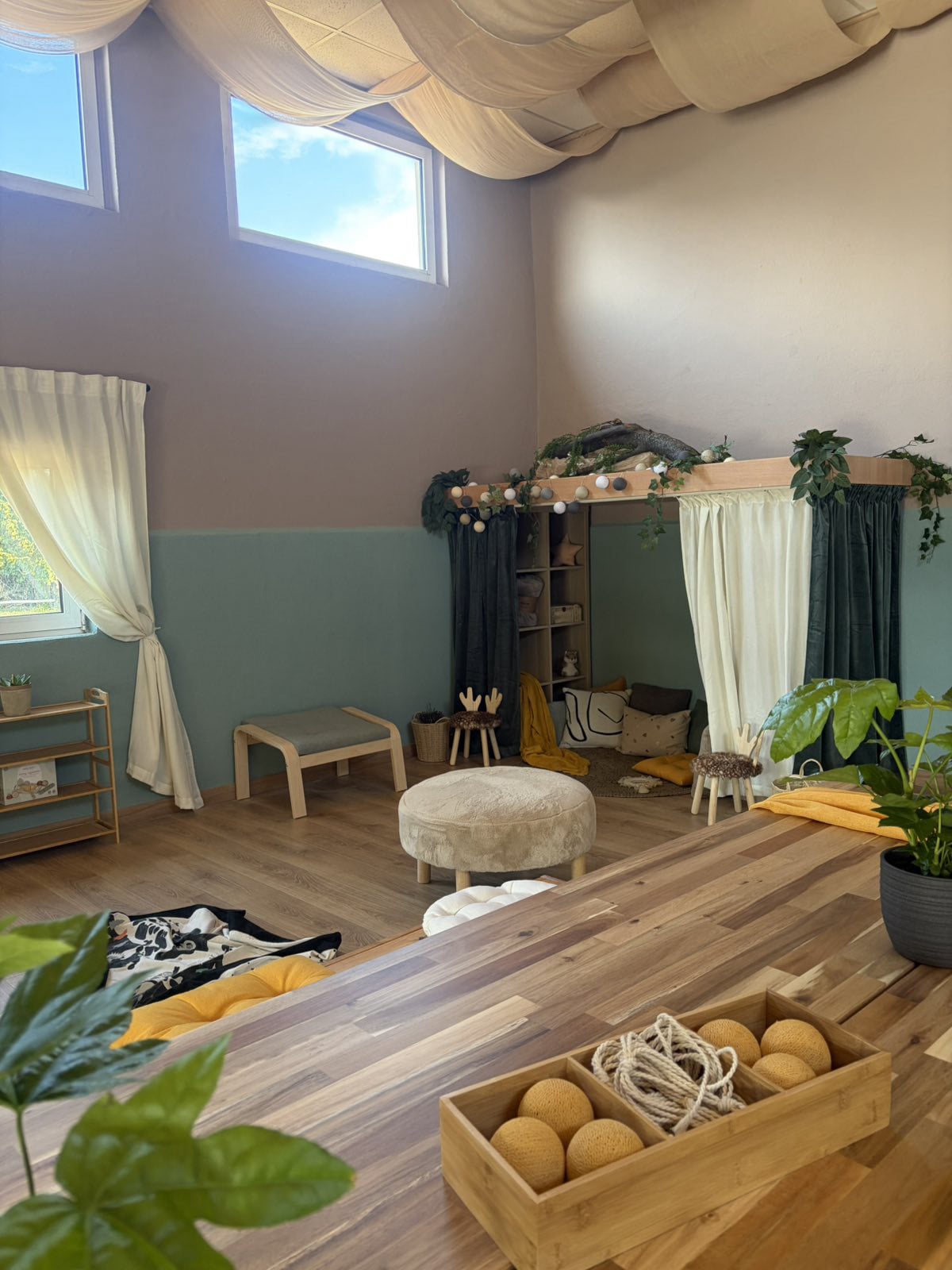 naturalia inside